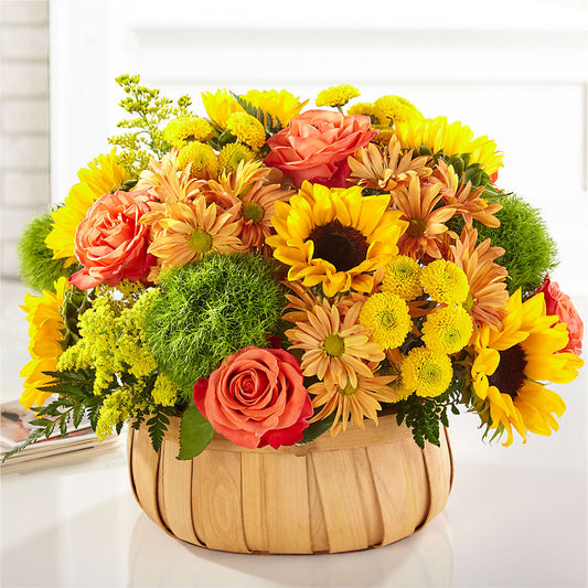Harvest Sunflower Basket –  Valley Fresca Market, Emporia KS